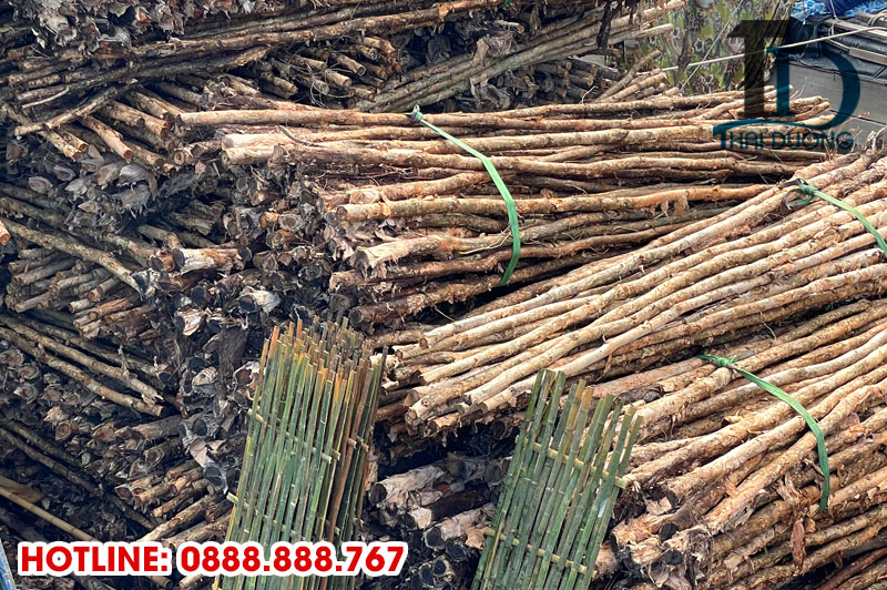 Bảng báo giá cừ tràm