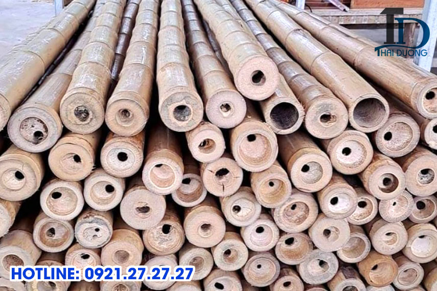 Xử lý mối mọt cho tre trúc bằng Bamboo XM5