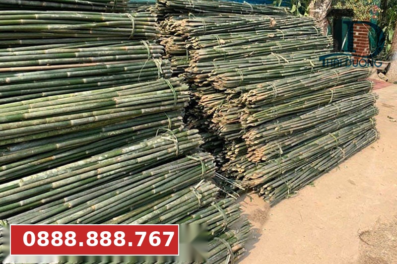 Cây nứa làm nguyên liệu