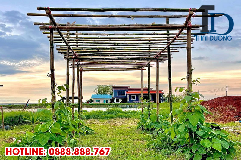 Cách làm giàn mướp bằng tre đơn giản