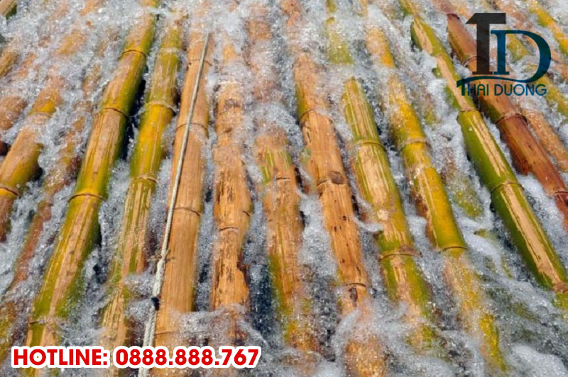Cách xử lý tre trúc