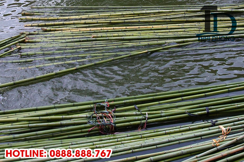 Cách xử lý tre trúc bằng cách ngâm trong nước
