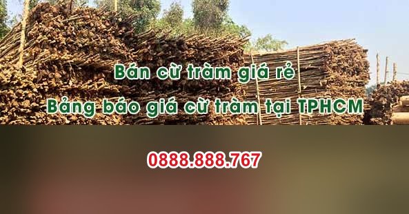 Bảng báo giá cừ tràm tại TPHCM