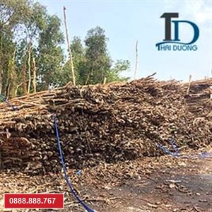Bán cừ tràm
